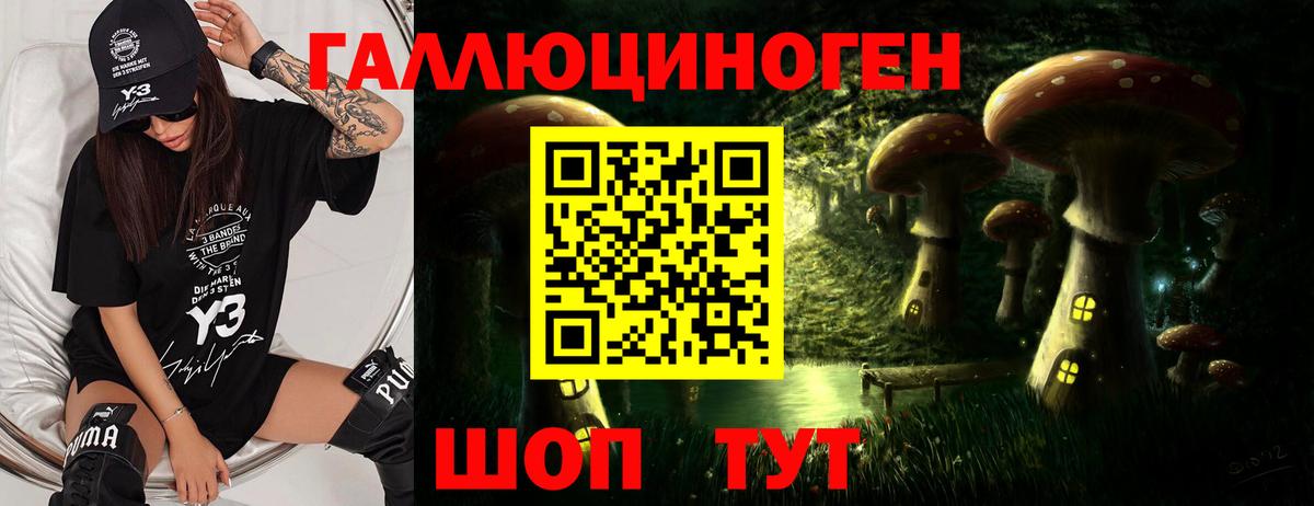 Галлюциногенные грибы прущие грибы Александров